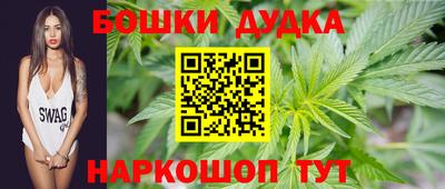2c-b Камышлов