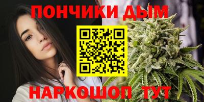 2c-b Камышлов